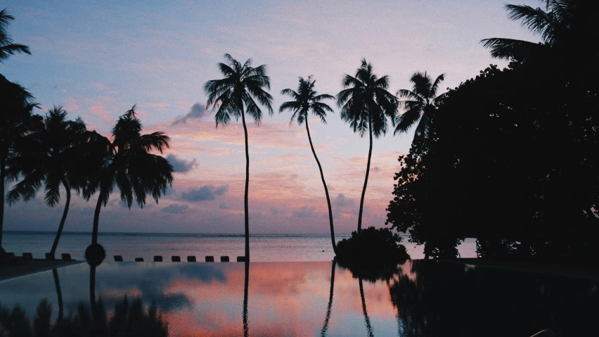 a sunset reflecting the sky, water and trees on the beach