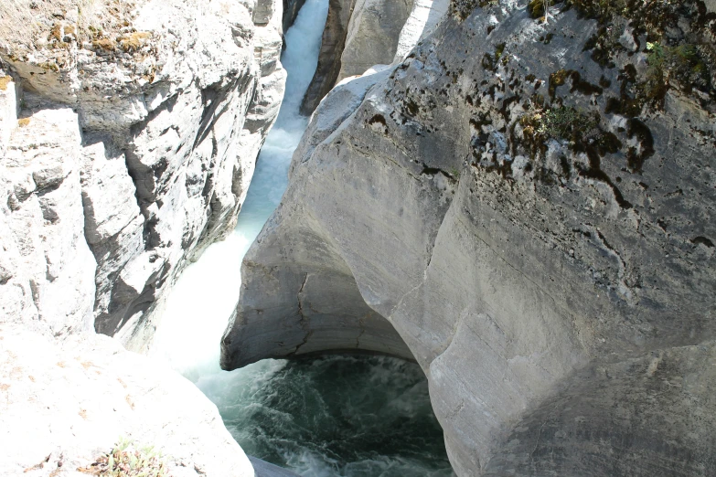 an area with various rocks, water and some plants