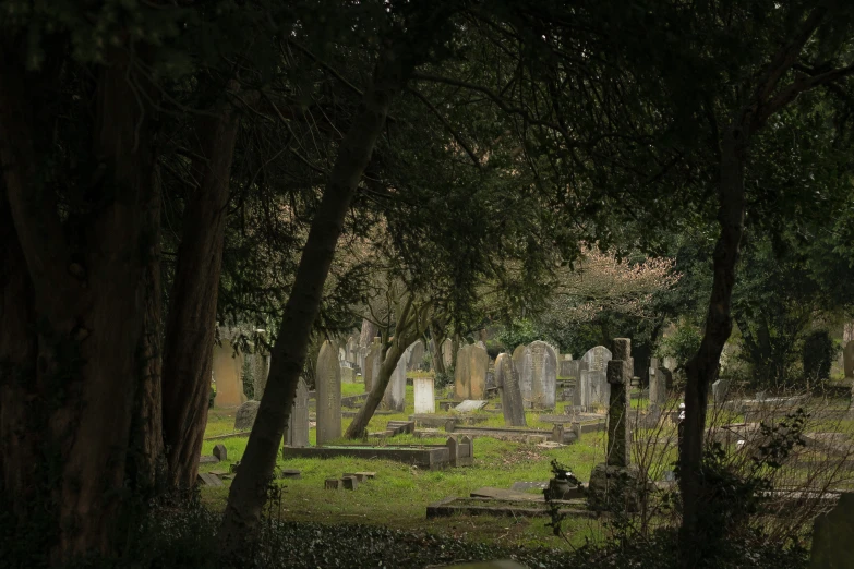 an old graveyard surrounded by trees in the evening