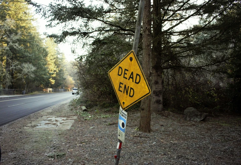 a dead end sign posted next to the road