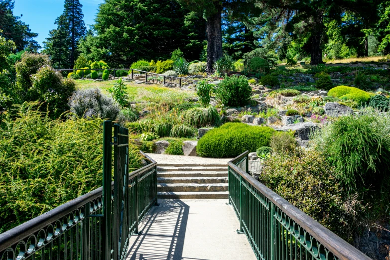 there are many trees in the background and stairs