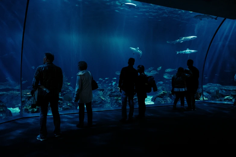 several people are watching fish in an aquarium