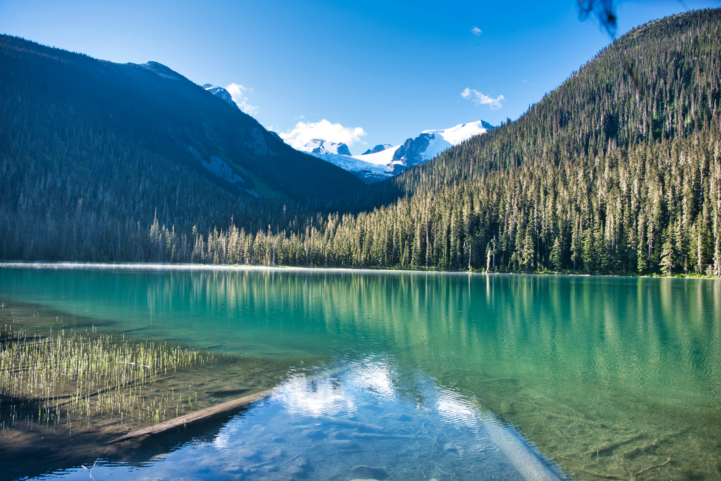 trees that are next to the water near a mountain