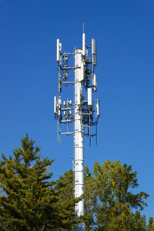 the cell tower is located by some trees