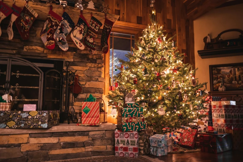 a christmas tree sitting in front of a fireplace