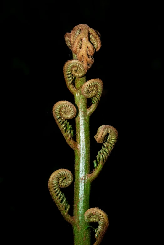 an animal statue in a plant that looks like a snake