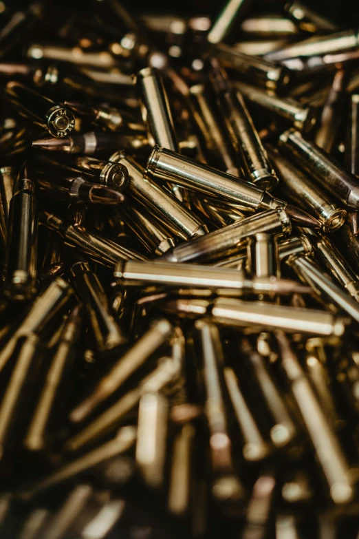 a bunch of small bullet like objects are laying on the ground