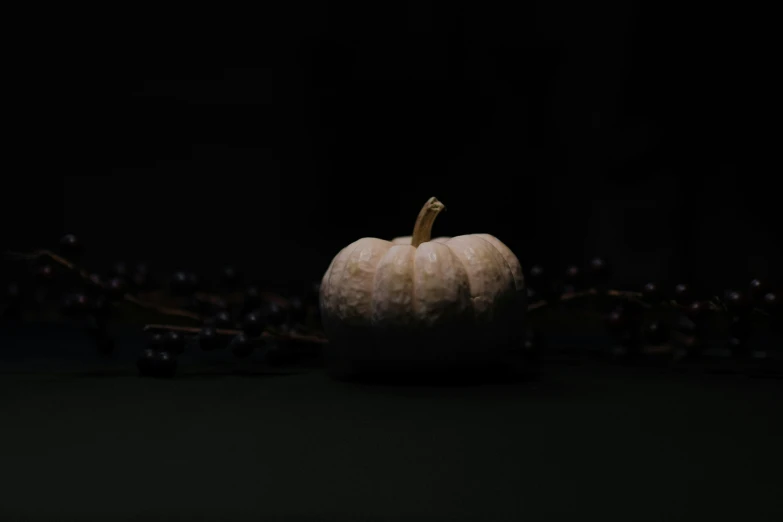 a white pumpkin sitting in the middle of a black background