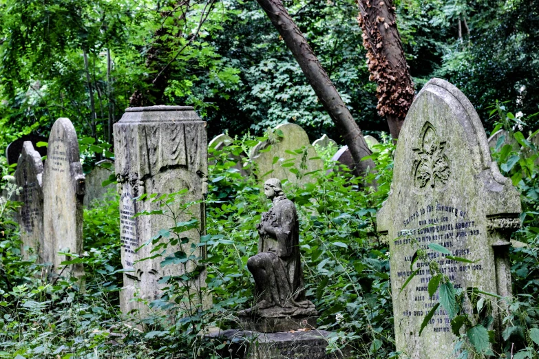some moss covered graves and trees and plants