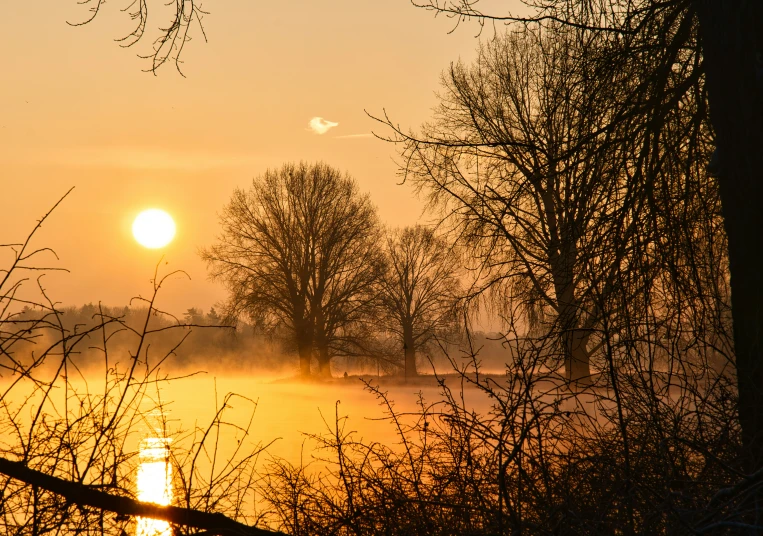 a sunset on a body of water with tall grass and trees