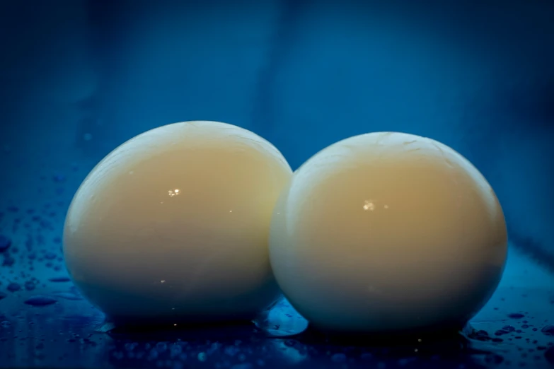 two eggs side by side on a blue background