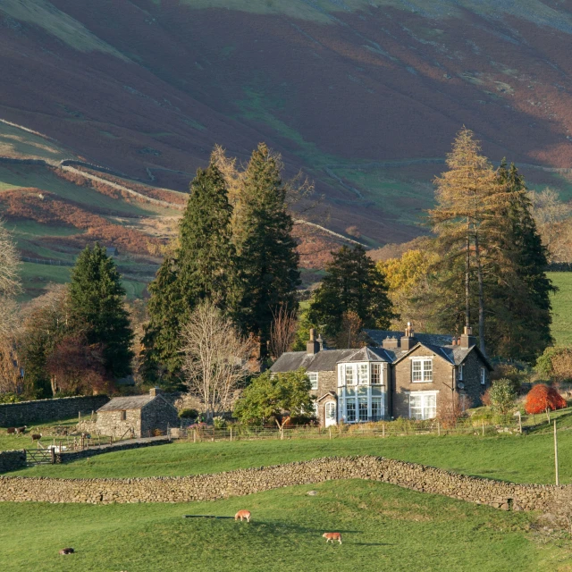 a small house on top of a lush green field