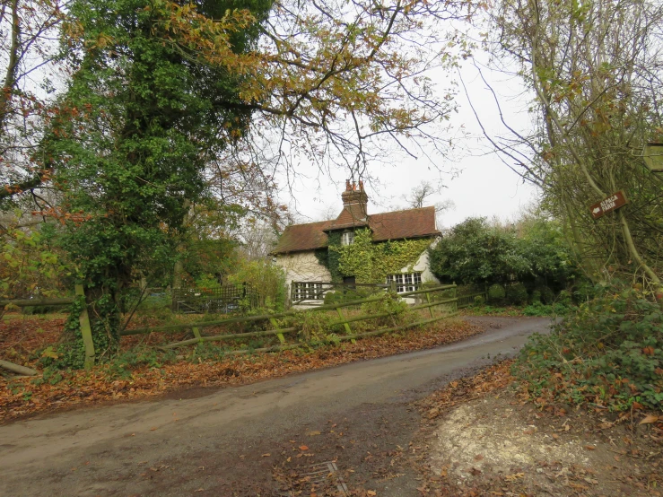 an old, overgrown and deserted house near the road