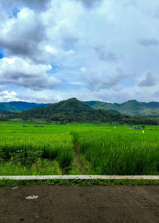 the view over an open green field of grass and mountains