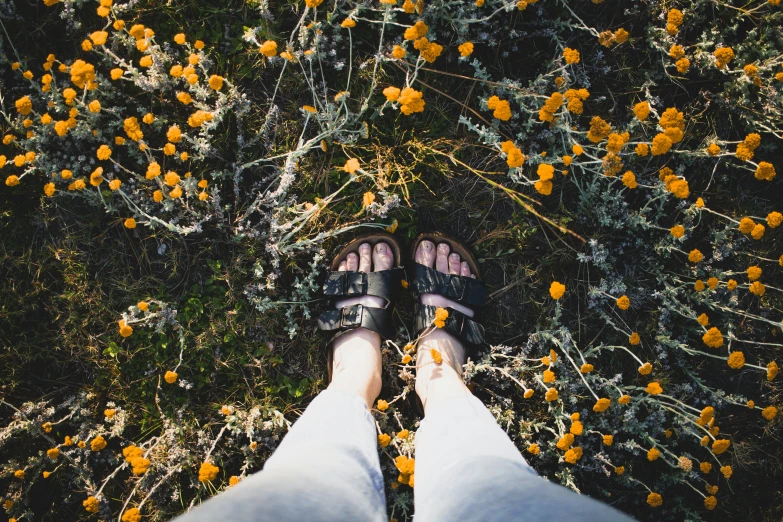 the top view of a person wearing sandals in front of orange flowers