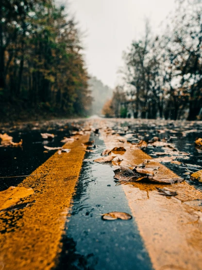a yellow line in the street on a rainy day