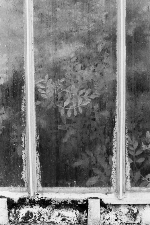 an old window with some flowers in it