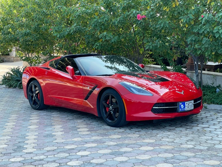 red corvette car parked in a driveway with lots of trees