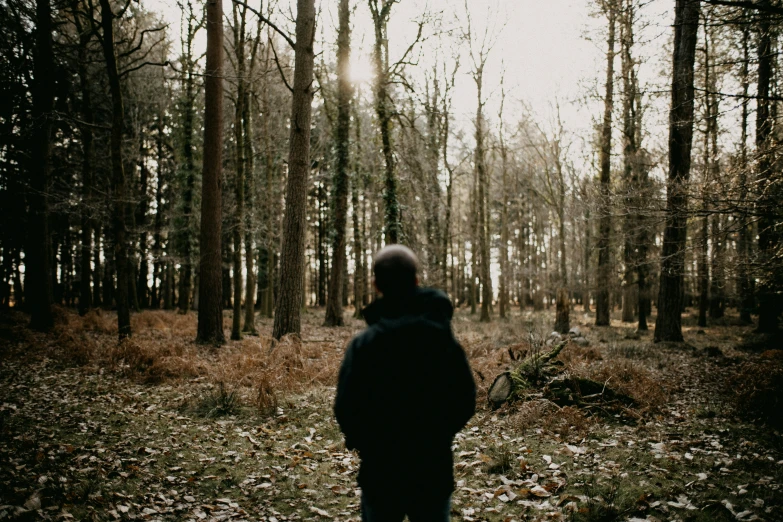 a man stands alone in the woods near some trees