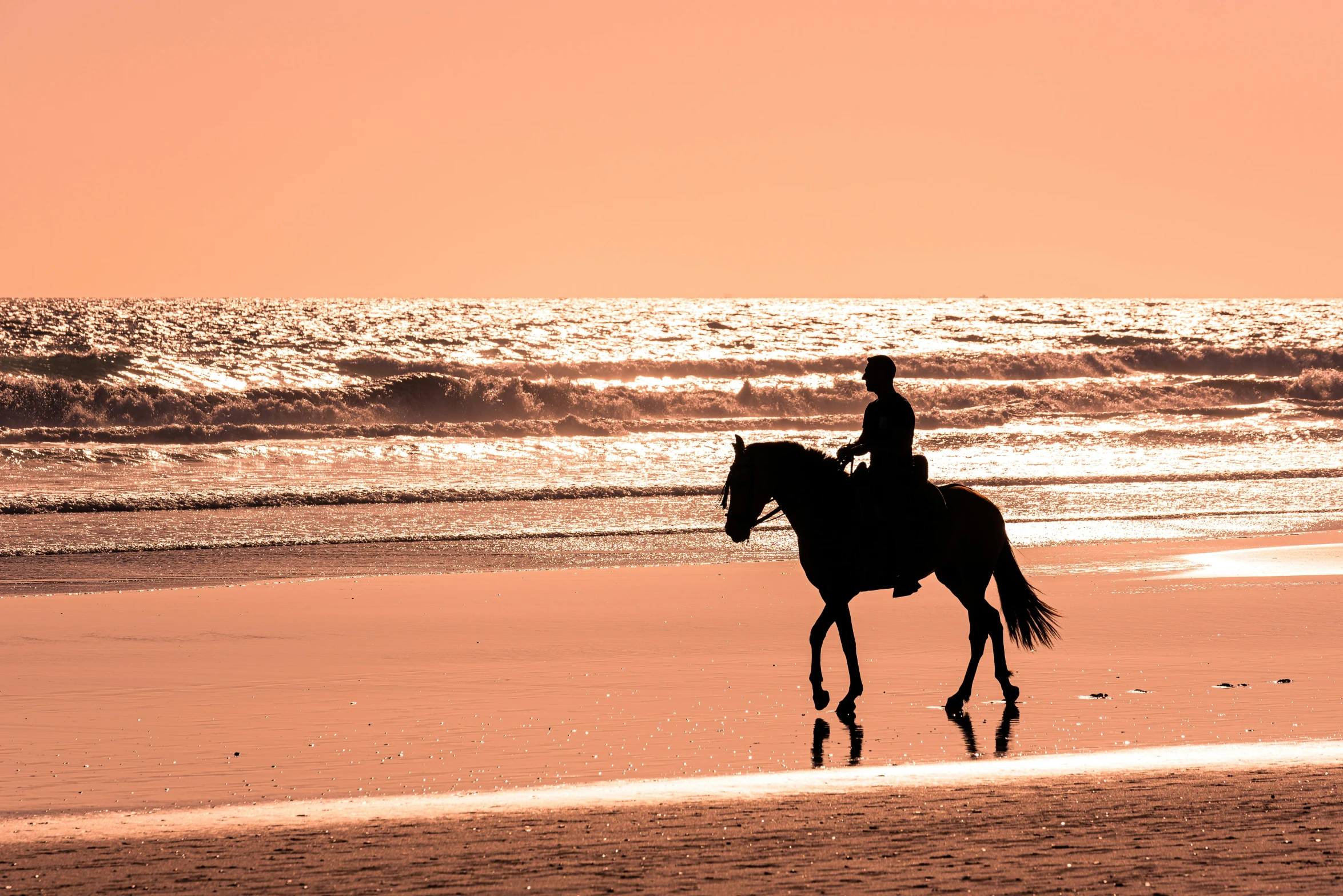 the silhouette of a person riding on the back of a horse