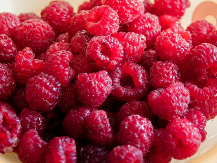 fresh raspberries are in a bowl ready to be served