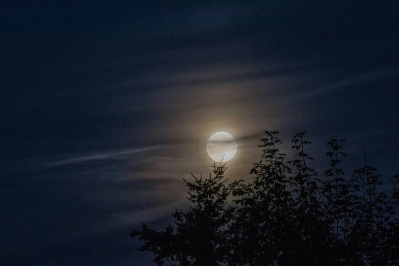the moon is shining brightly behind trees on a cloudy night