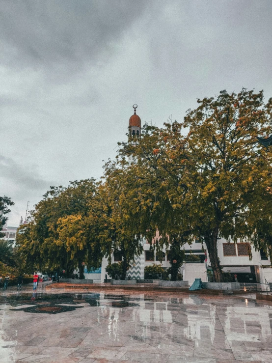 a clock tower rises in the middle of a rainy city park