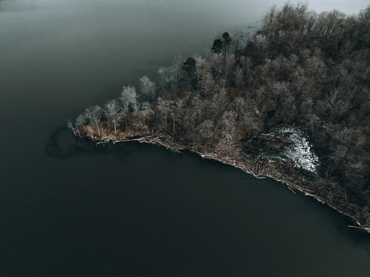 a large long body of water sitting next to a forest