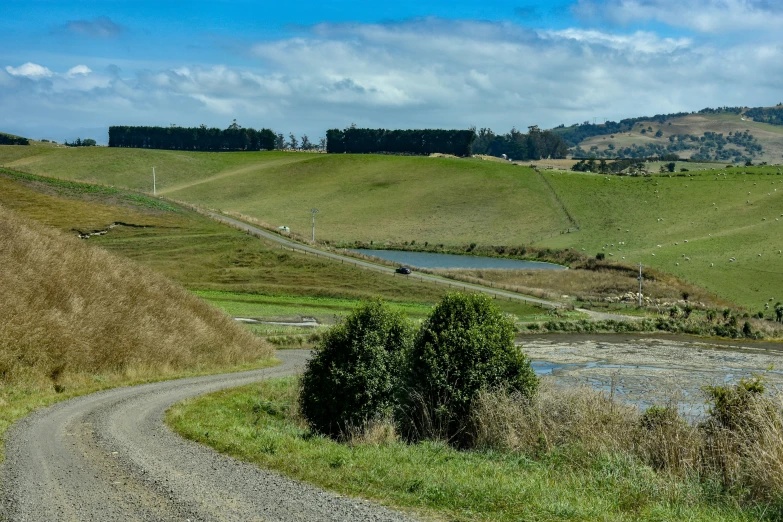 a dirt path going to a farm with some water