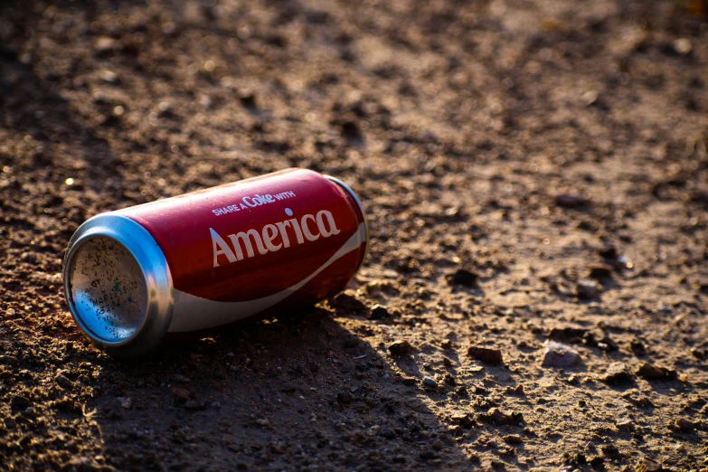 a can that is laying in the dirt
