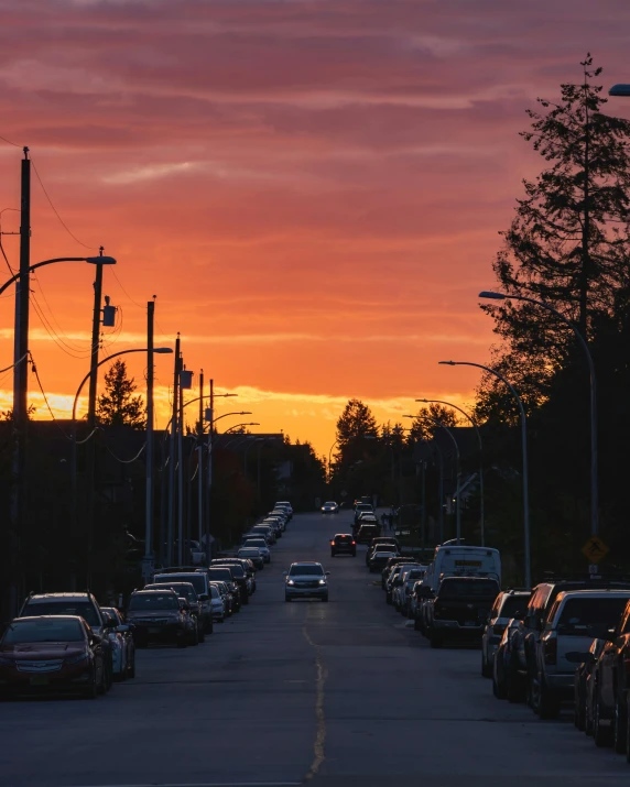 cars lined up on the side of the street