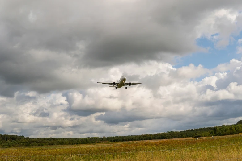 a plane flies over a grassy area with a forest