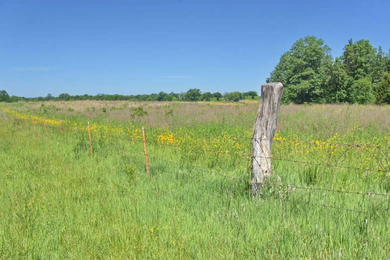 a wooden post stands in a grassy field