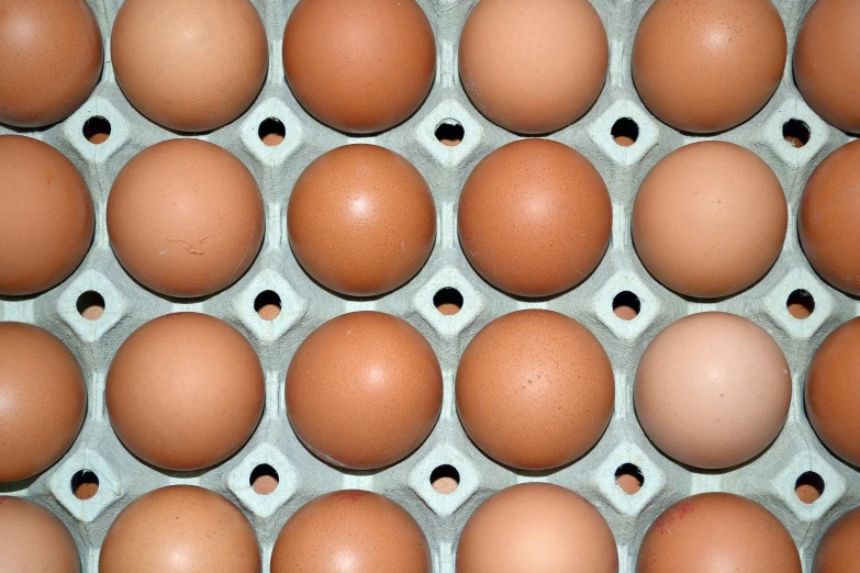 brown eggs lined up in a carton for sale