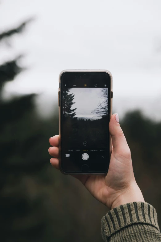 person holding an iphone with trees in the background