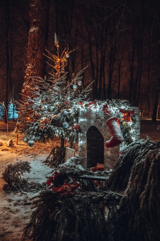 christmas tree lit up and surrounded by snow and bushes