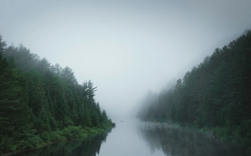 foggy river with trees lining both sides on a rainy day