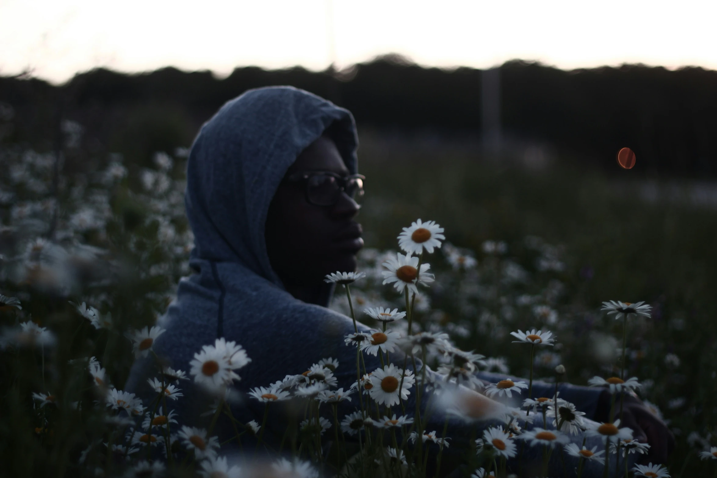 a person wearing glasses sitting in a field of flowers