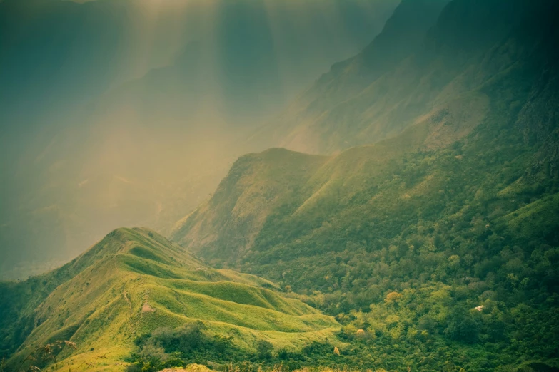 a mountain valley with many different green vegetation