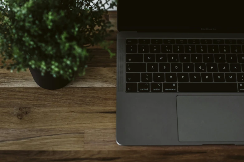 a black laptop next to a potted plant