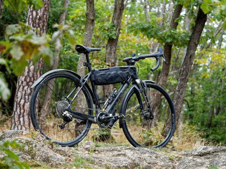 a bike parked on a rock in the woods