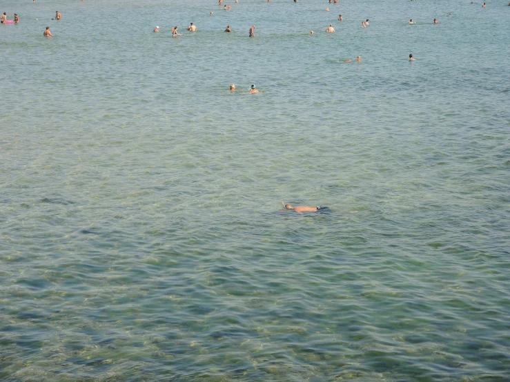 a body of water with people swimming and standing in it