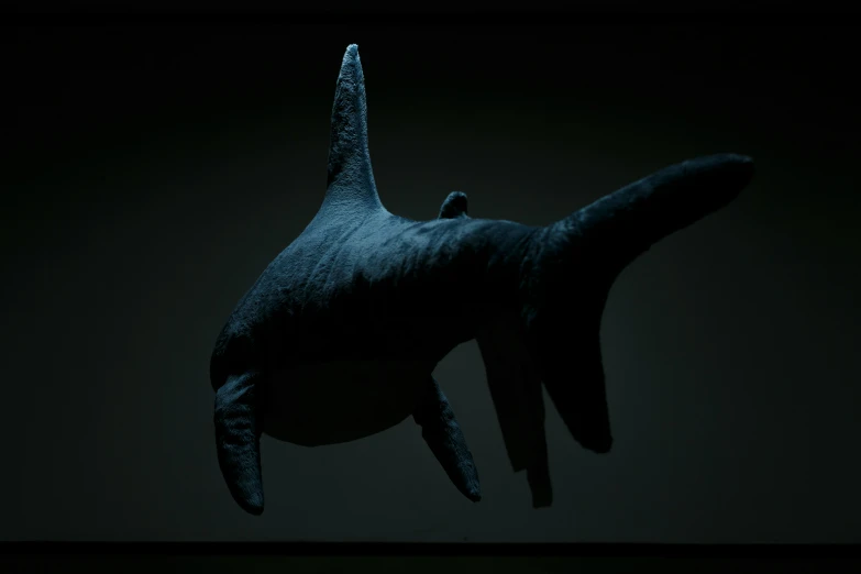 a picture of a shark in the dark