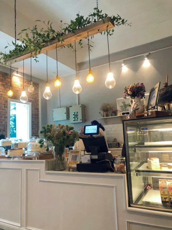 a bakery with multiple lights and potted plants in it