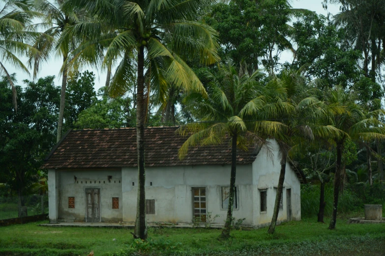 a white building with trees and bushes around it