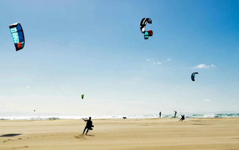 people flying kites on a beach at the ocean