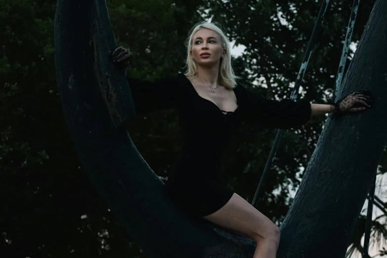 a beautiful woman posing in a dark dress on a tree