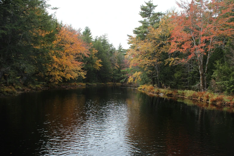 a river surrounded by forest with trees in fall colors