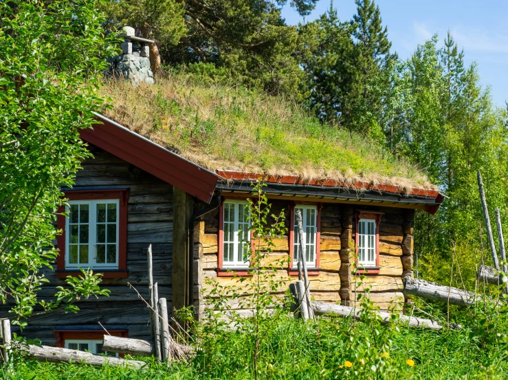 the old log house is very nice and green