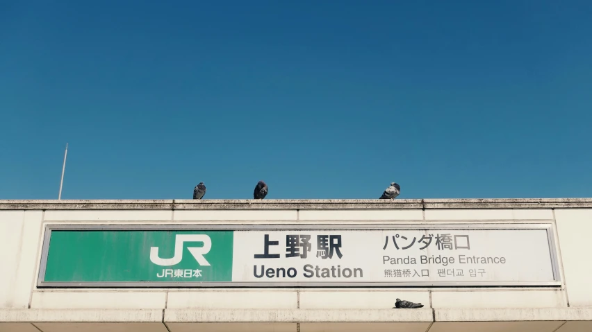 there are some birds sitting on top of the roof